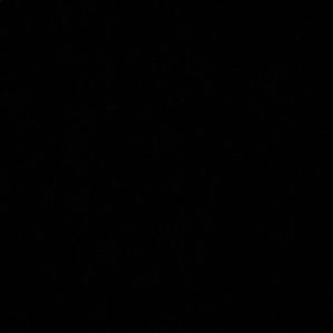 Meet your Posher, Sidni